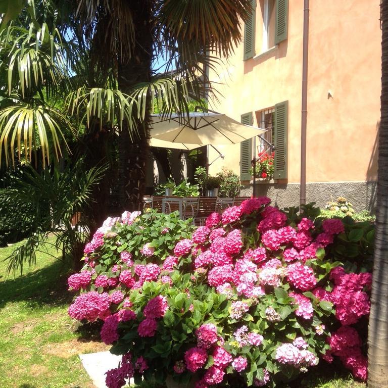 Antico Glicine B&B Maslianico Екстер'єр фото