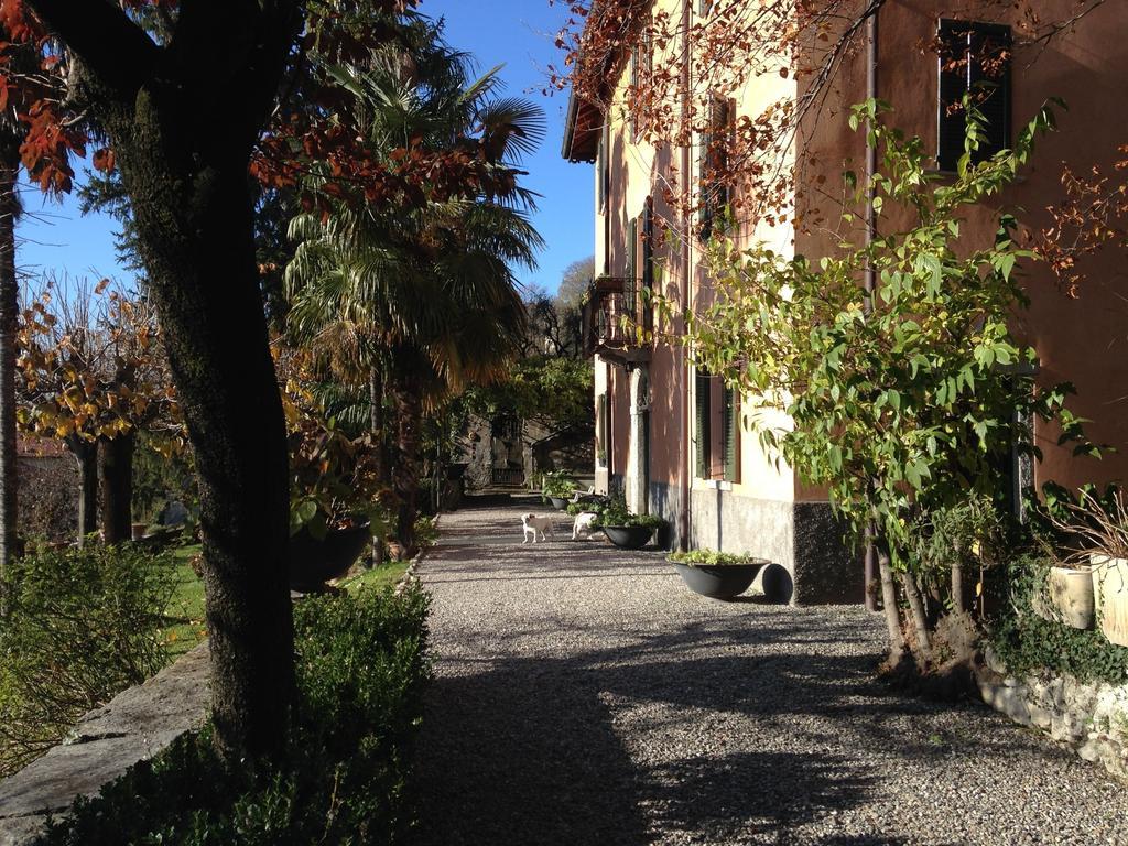 Antico Glicine B&B Maslianico Екстер'єр фото