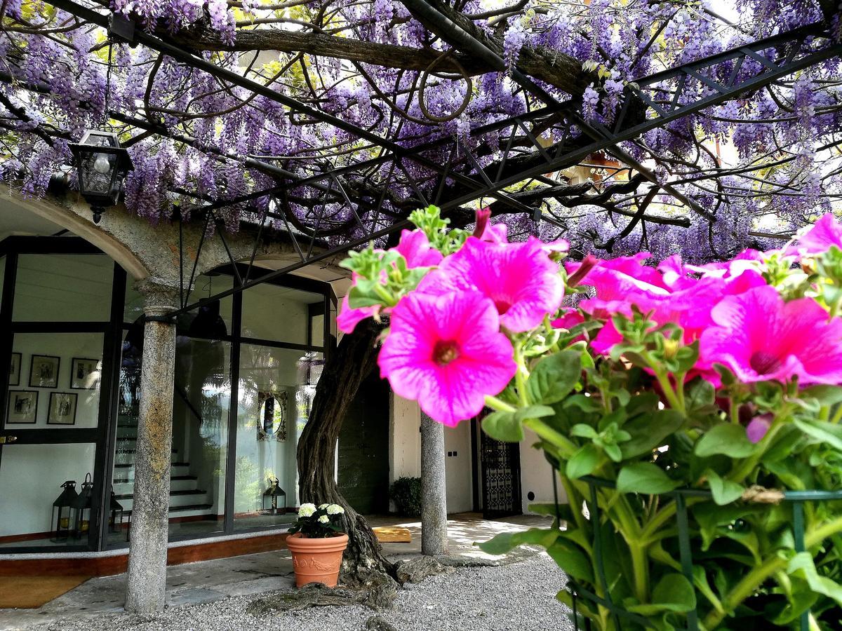 Antico Glicine B&B Maslianico Екстер'єр фото
